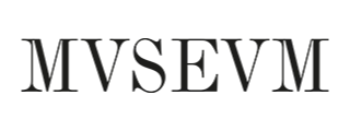 3 Mvsevm
